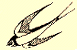 schwalbe.gif